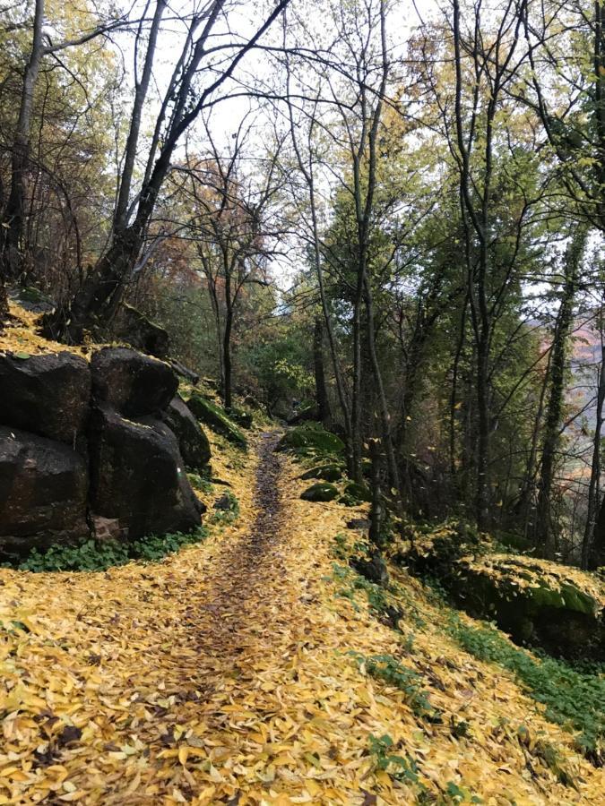 La Gargantilla Херте Екстер'єр фото